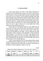 Diplomdarbs 'Rēzeknes aizsargu organizācija no 1920. līdz 1929.gadam', 42.