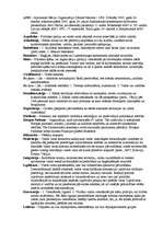 Konspekts 'Politikas terminu skaidrojums', 1.