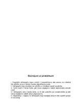 Referāts 'Vērtspapīru tirgus', 16.