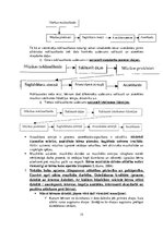 Konspekts 'Mūzikas metodikas teorija', 15.