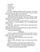 Prakses atskaite 'Procesa virzītāja darbs', 4.