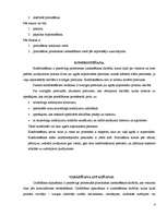 Prakses atskaite 'Procesa virzītāja darbs', 6.