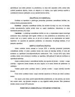 Prakses atskaite 'Procesa virzītāja darbs', 7.