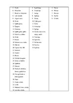 Konspekts 'Saruna ar trīs bērniem. Bērnu filosofija un valoda', 3.