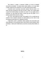 Referāts 'Lauksaimniecība un gēnu inženierija', 11.