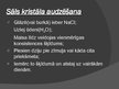 Prezentācija 'Kristāli', 10.