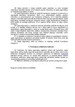 Konspekts 'Modulis uzņēmējdarbības profesionālo kompetenču veidošanai', 6.