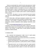 Referāts 'Microsoft produktu licencēšana un pirātisms Latvijā', 7.