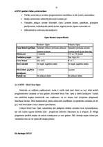 Referāts 'Microsoft produktu licencēšana un pirātisms Latvijā', 19.