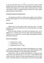 Referāts 'Microsoft produktu licencēšana un pirātisms Latvijā', 21.