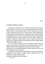 Referāts 'Microsoft produktu licencēšana un pirātisms Latvijā', 29.