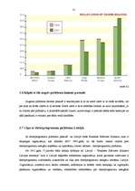 Referāts 'Microsoft produktu licencēšana un pirātisms Latvijā', 31.