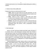 Referāts 'Microsoft produktu licencēšana un pirātisms Latvijā', 32.