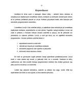 Referāts 'Microsoft produktu licencēšana un pirātisms Latvijā', 35.