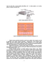 Referāts 'Muskuļu funkcionālais stāvoklis un attīstīšanas metodes', 5.