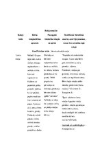 Konspekts 'Rotaļu analīze un eseja', 3.