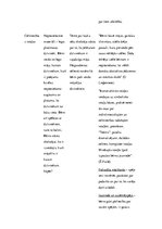 Konspekts 'Rotaļu analīze un eseja', 5.