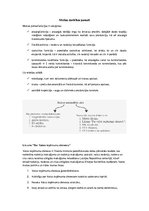 Konspekts 'Muitas darbības pamati', 1.