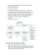 Konspekts 'Muitas darbības pamati', 2.