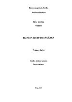 Biznesa plāns 'Biznesa plāns - litija bateriju dzēšana', 1.