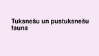 Prezentācija 'Tuksnešu un pustuksnešu fauna', 1.