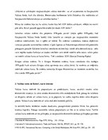 Konspekts 'Starptautiskās valūtas attiecības', 3.