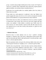 Konspekts 'Starptautiskās valūtas attiecības', 4.