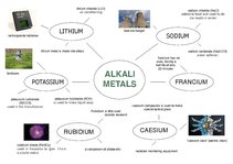 Paraugs 'Alkali Metals', 1.