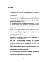 Referāts 'Finanšu ministrijas loma inflācijas samazināšanas plāna īstenošanā', 25.