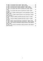 Referāts 'Latvijas Valsts prezidenti', 3.