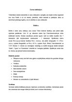 Konspekts 'Zarnu infekciju slimību klīniskās pazīmes, ārstēšanas un profilakses principi', 2.