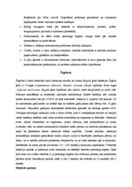 Konspekts 'Zarnu infekciju slimību klīniskās pazīmes, ārstēšanas un profilakses principi', 7.