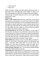 Konspekts 'Zarnu infekciju slimību klīniskās pazīmes, ārstēšanas un profilakses principi', 11.