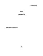 Referāts 'Ģimenes problēmas', 1.