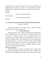 Referāts 'Dažādu kultūru darbinieku attiecības uzņēmumā', 9.