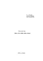 Konspekts 'Zinību dienai veltīts muzikāli tematisks bērnu rīts', 1.