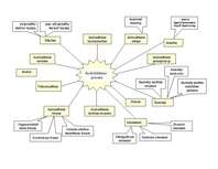 Konspekts 'Audzināšanas process', 1.