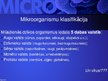 Prezentācija 'Mikrobioloģija', 23.