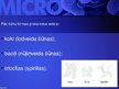 Prezentācija 'Mikrobioloģija', 25.