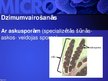 Prezentācija 'Mikrobioloģija', 56.