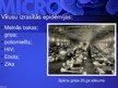 Prezentācija 'Mikrobioloģija', 96.