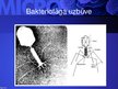 Prezentācija 'Mikrobioloģija', 101.