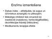 Prezentācija 'Enzīmu inhibitori', 10.