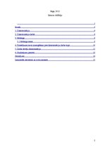 Referāts 'Diskriminācija uzņēmumā', 2.