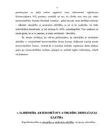 Referāts 'SIA kā visizplatītākā komercdarbības forma', 4.