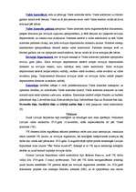 Konspekts 'Valsts kontroles būtība', 4.