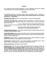 Konspekts 'Politika, demokrātija, brīvība', 1.