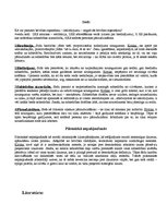 Konspekts 'Politika, demokrātija, brīvība', 3.