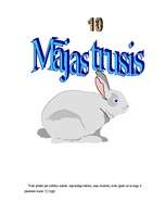 Referāts 'Mājas trusis', 1.