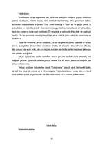 Biznesa plāns 'Veikala mārketinga plāns', 4.